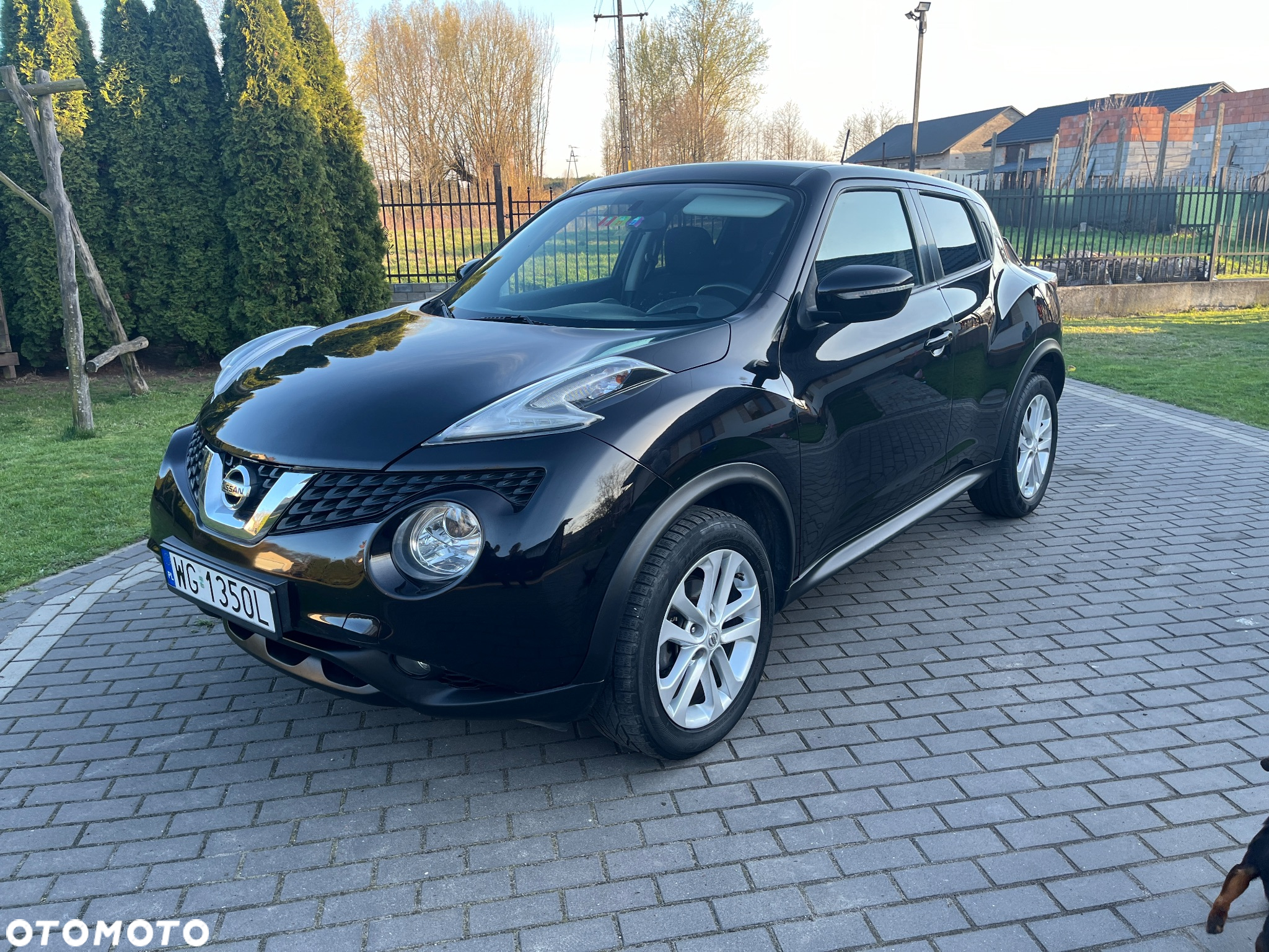 Nissan Juke 1.2 DIG-T 360 - 7