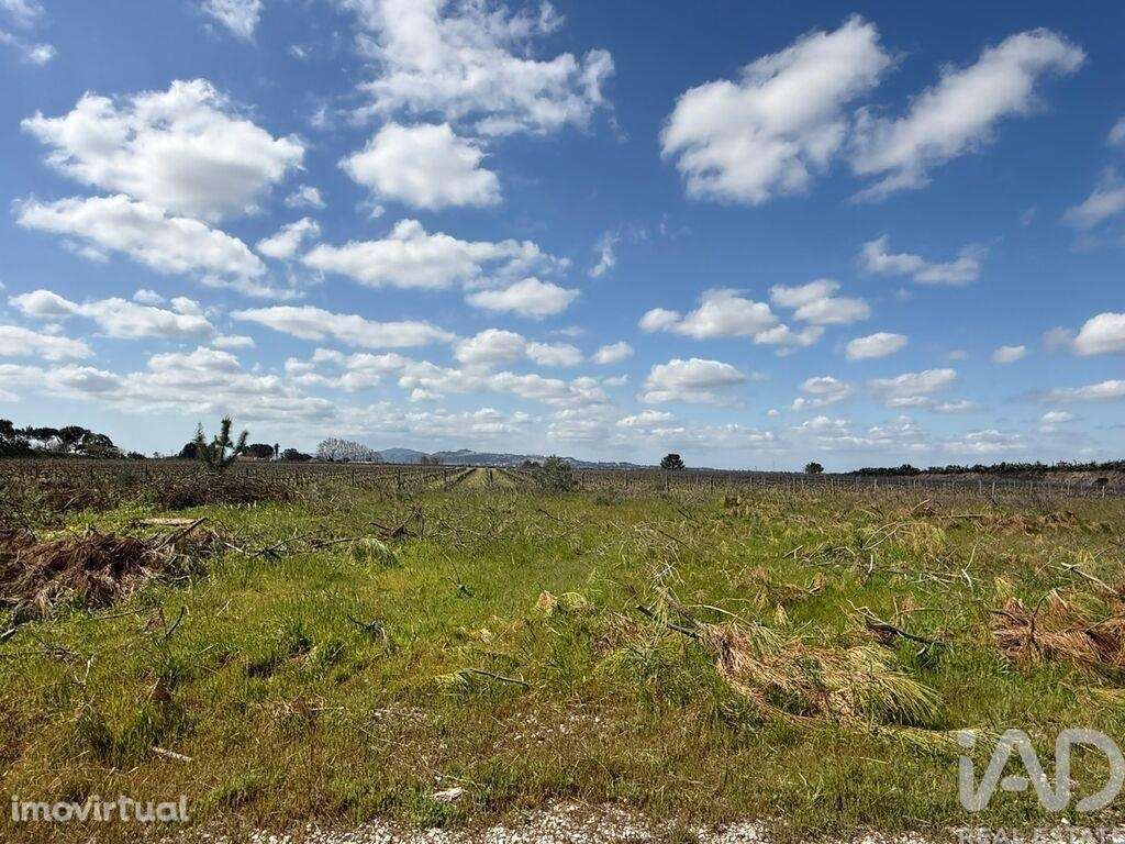 Terreno Agrícola em Palmela - Grande imagem: 5/18