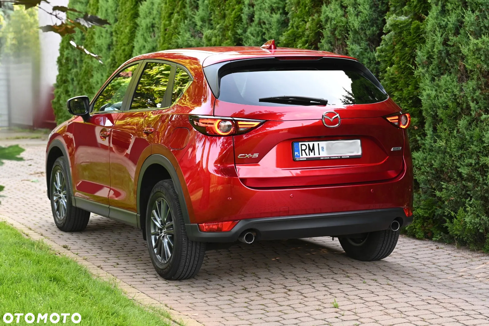 Mazda CX-5 2.0 Skyenergy AWD - 5