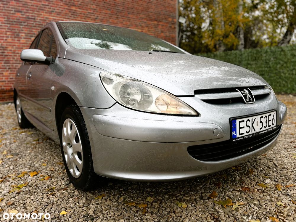 Peugeot 307 - 31