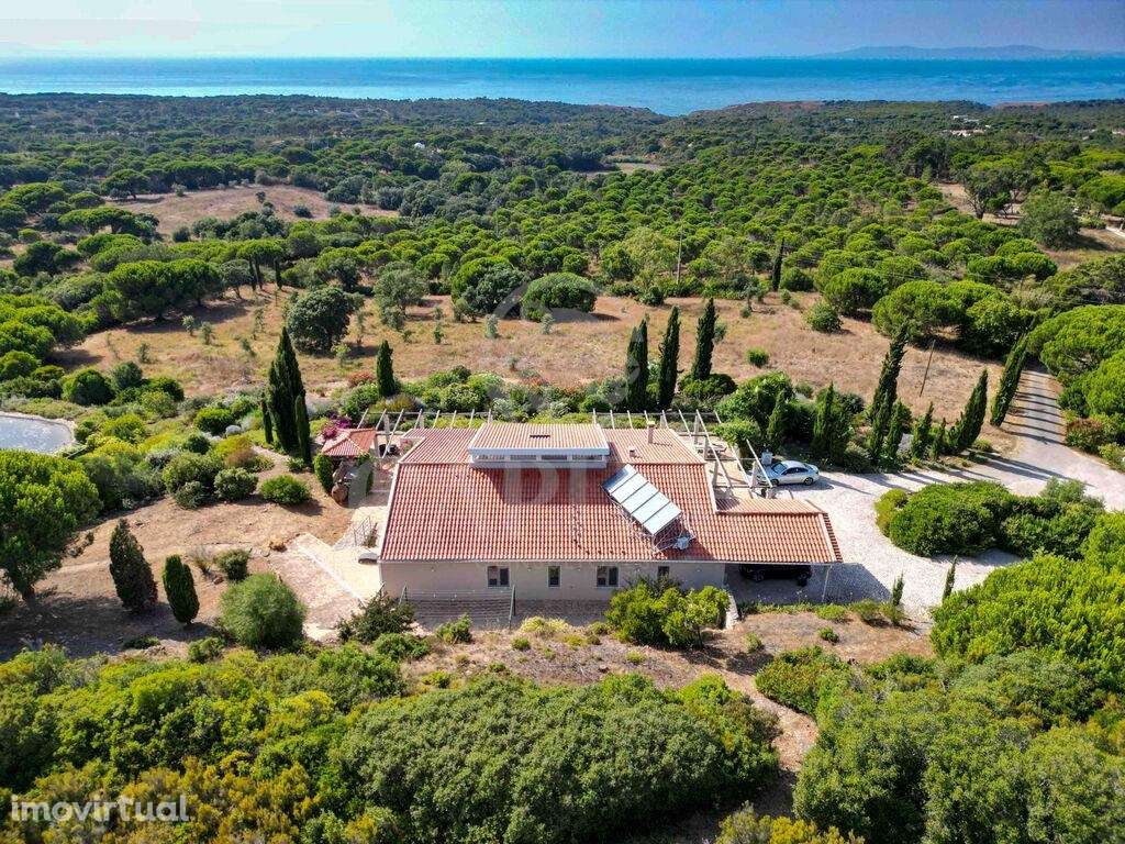 Venda Moradia - Grande imagem: 3/60