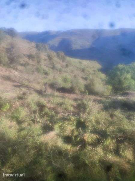 Vendo um terreno junto ou Douro - Grande imagem: 2/8
