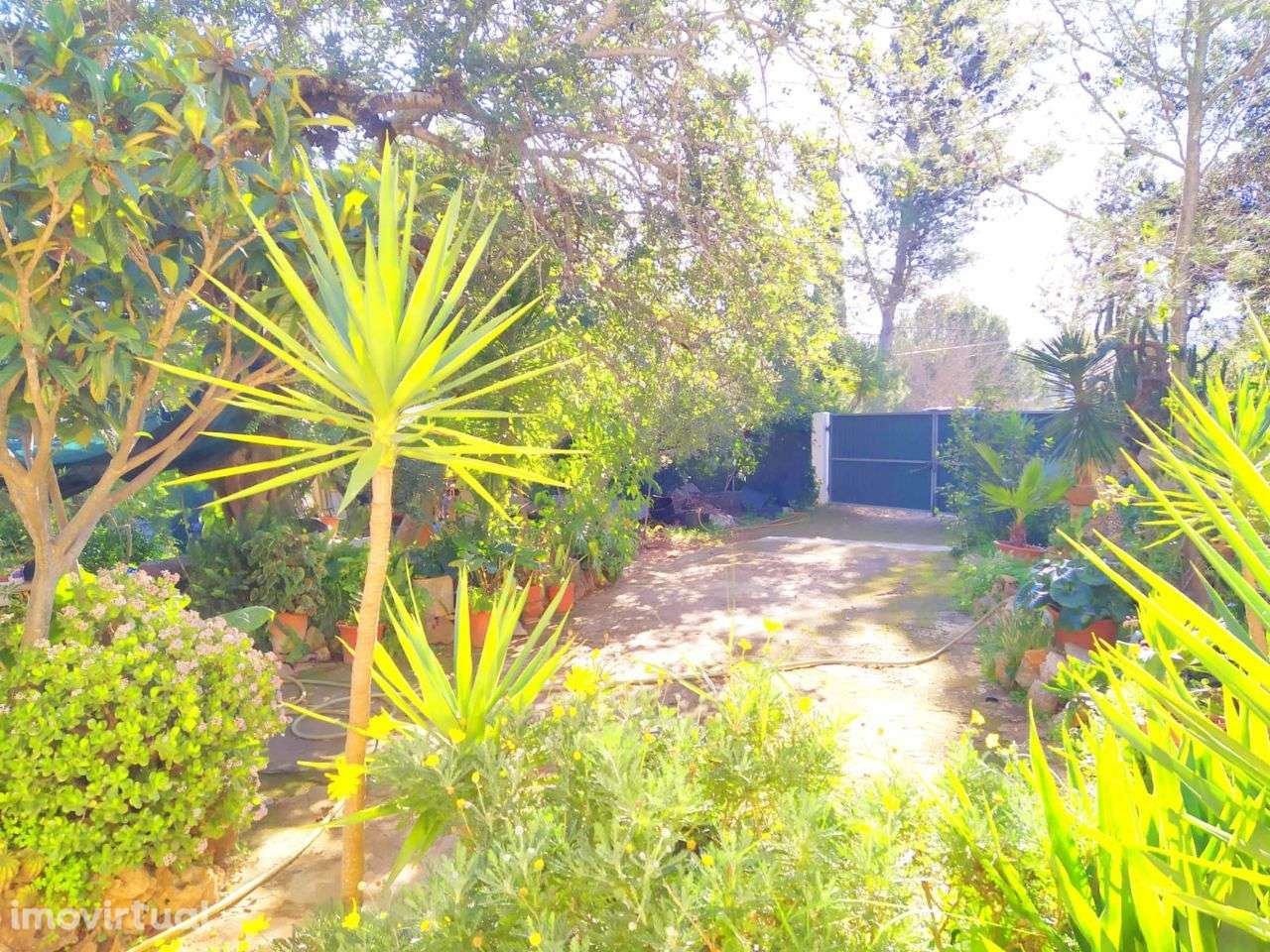 Moradia T3 C/ 813M2 Terreno - Grande imagem: 4/24