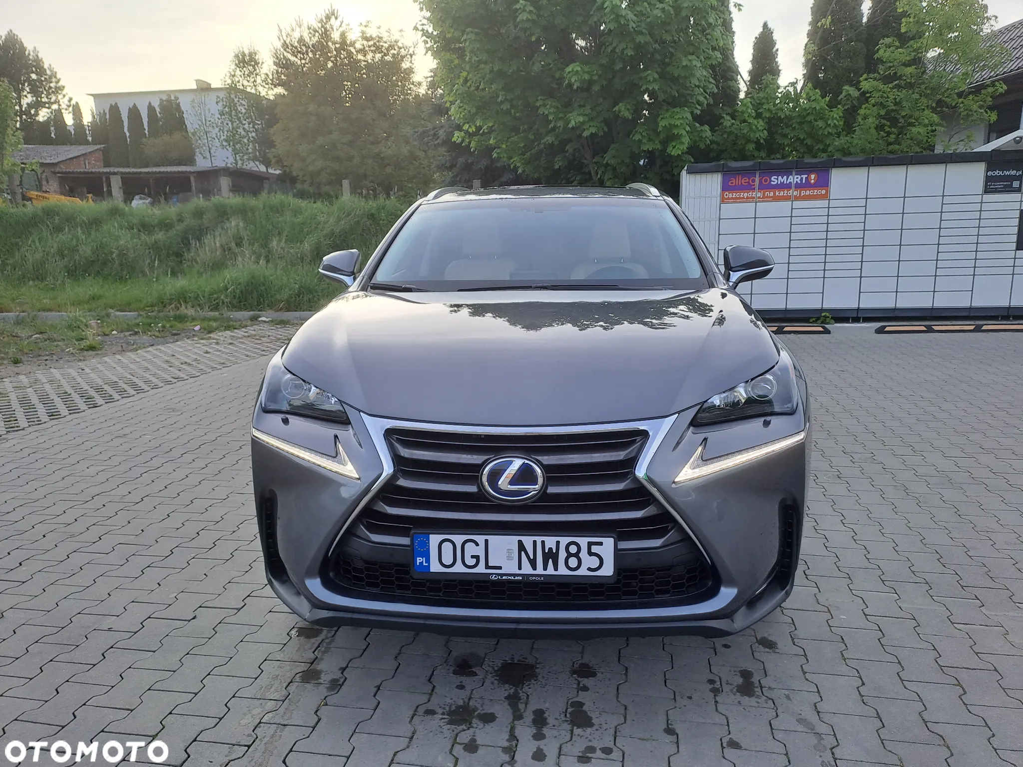 Lexus NX 300h - 2
