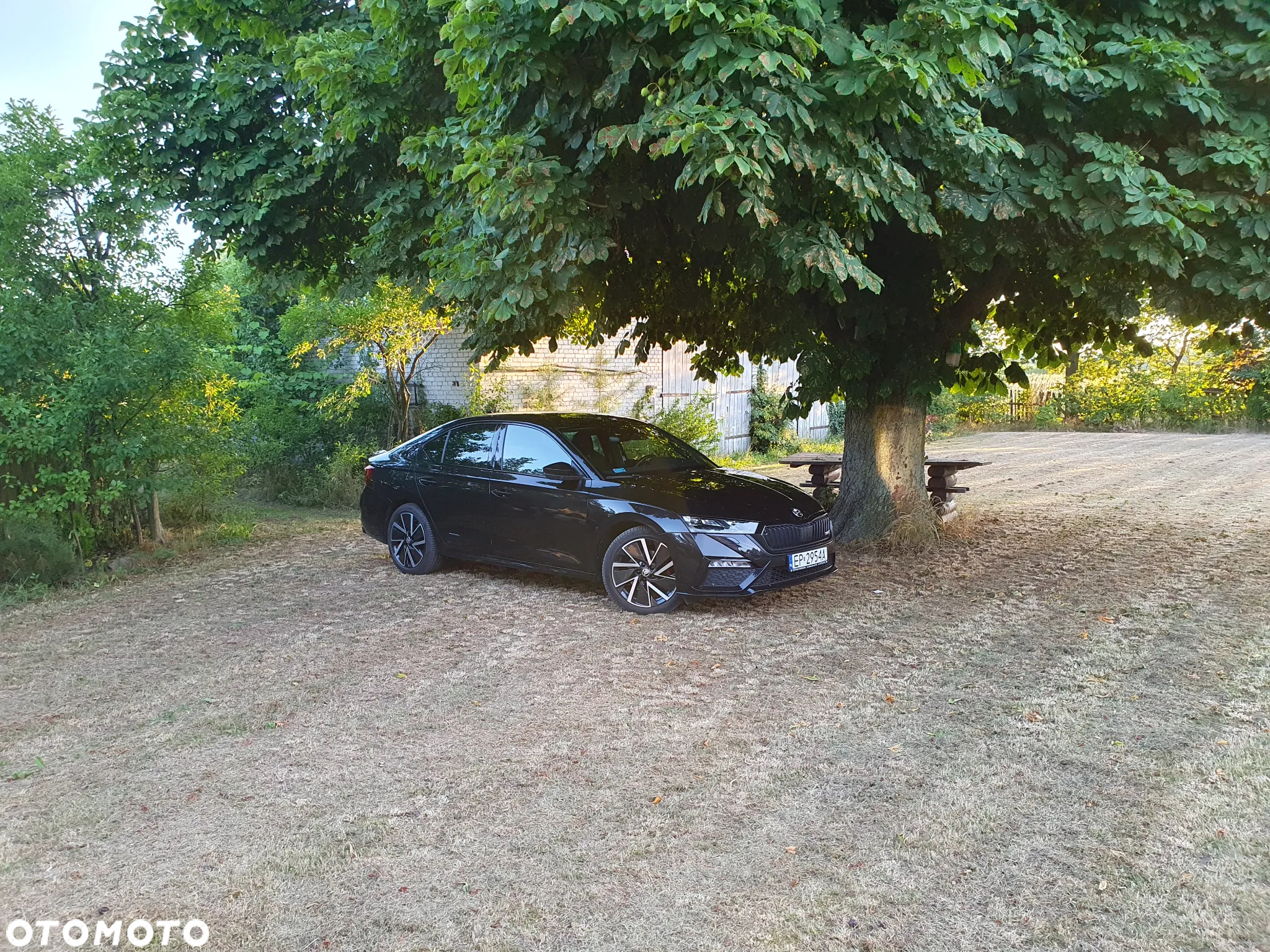 Skoda Octavia 2.0 TDI 4x4 RS DSG - 2