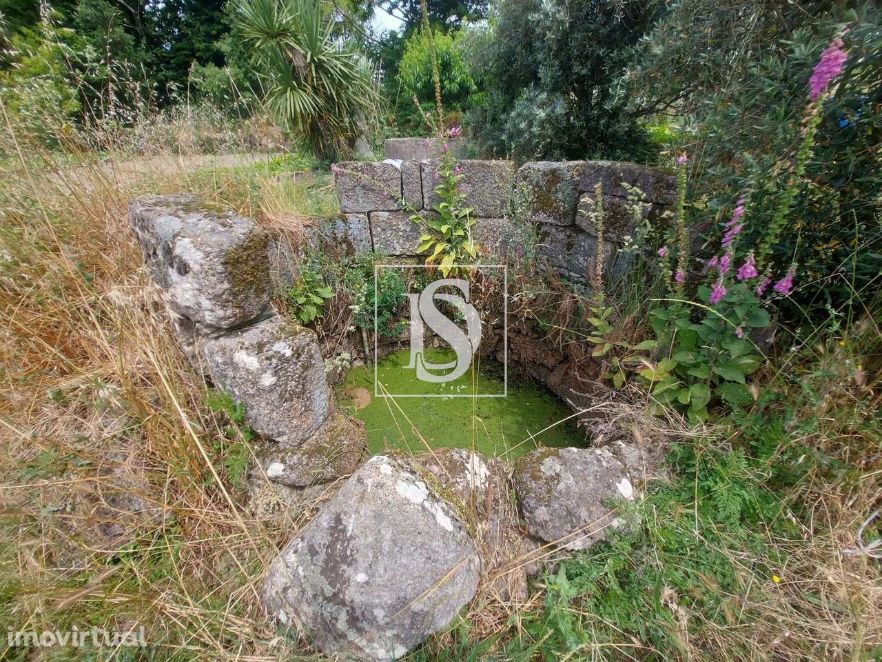 Terreno com 3.040 m2, urbanizavel - Grande imagem: 3/4