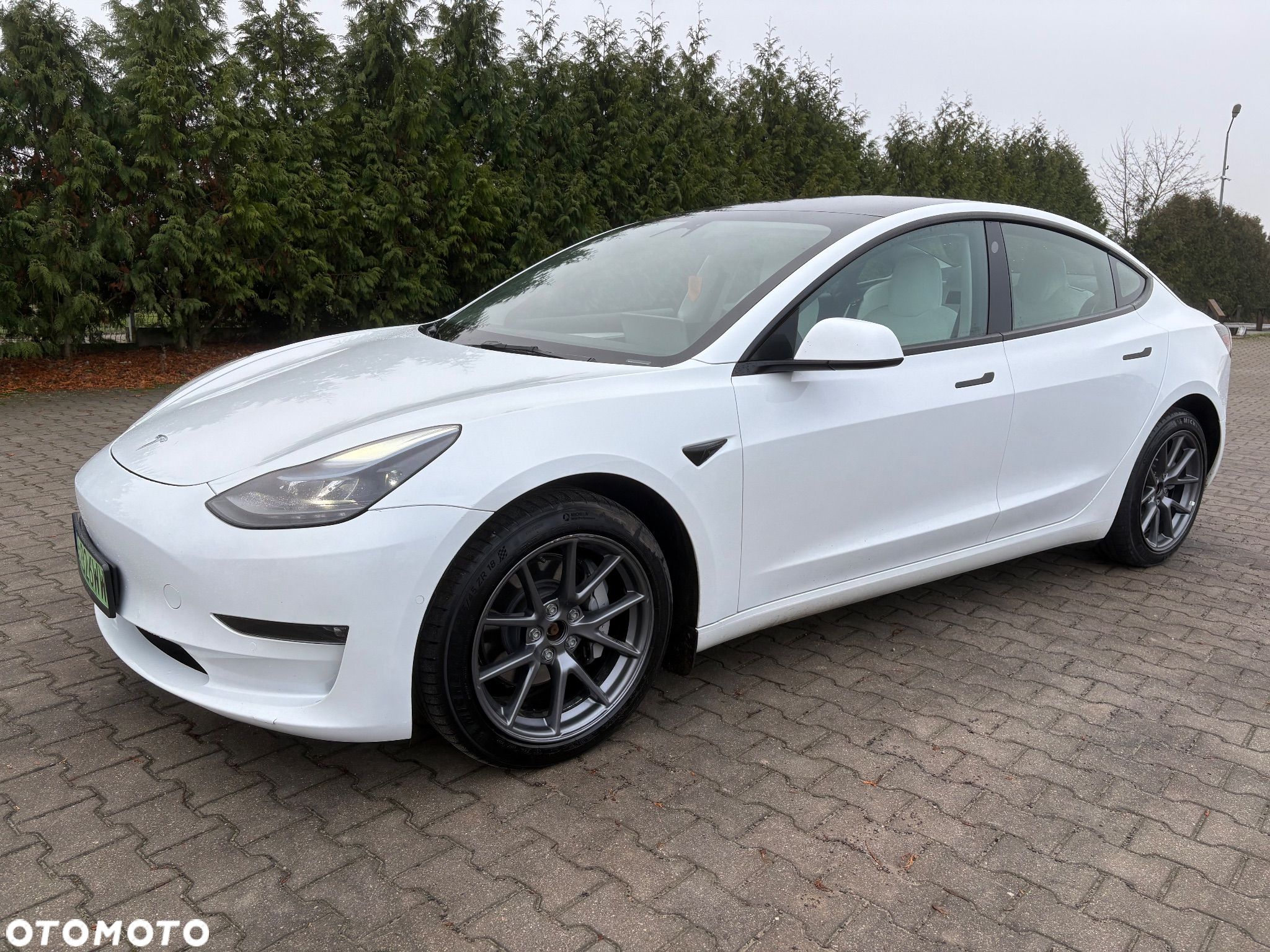 Tesla Model 3 Performance AWD - 1