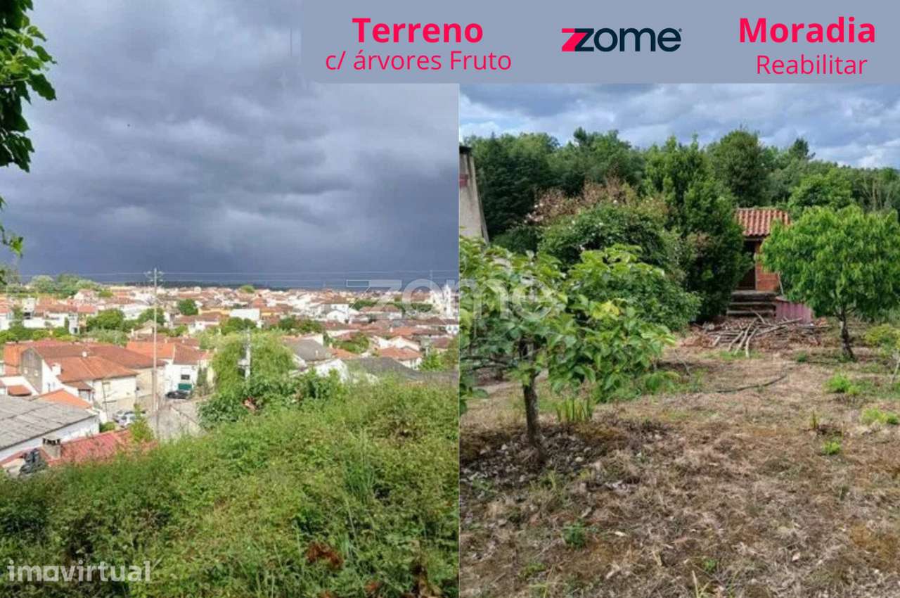 Terreno com Ruína | Ançã | Cantanhede - Grande imagem: 5/15
