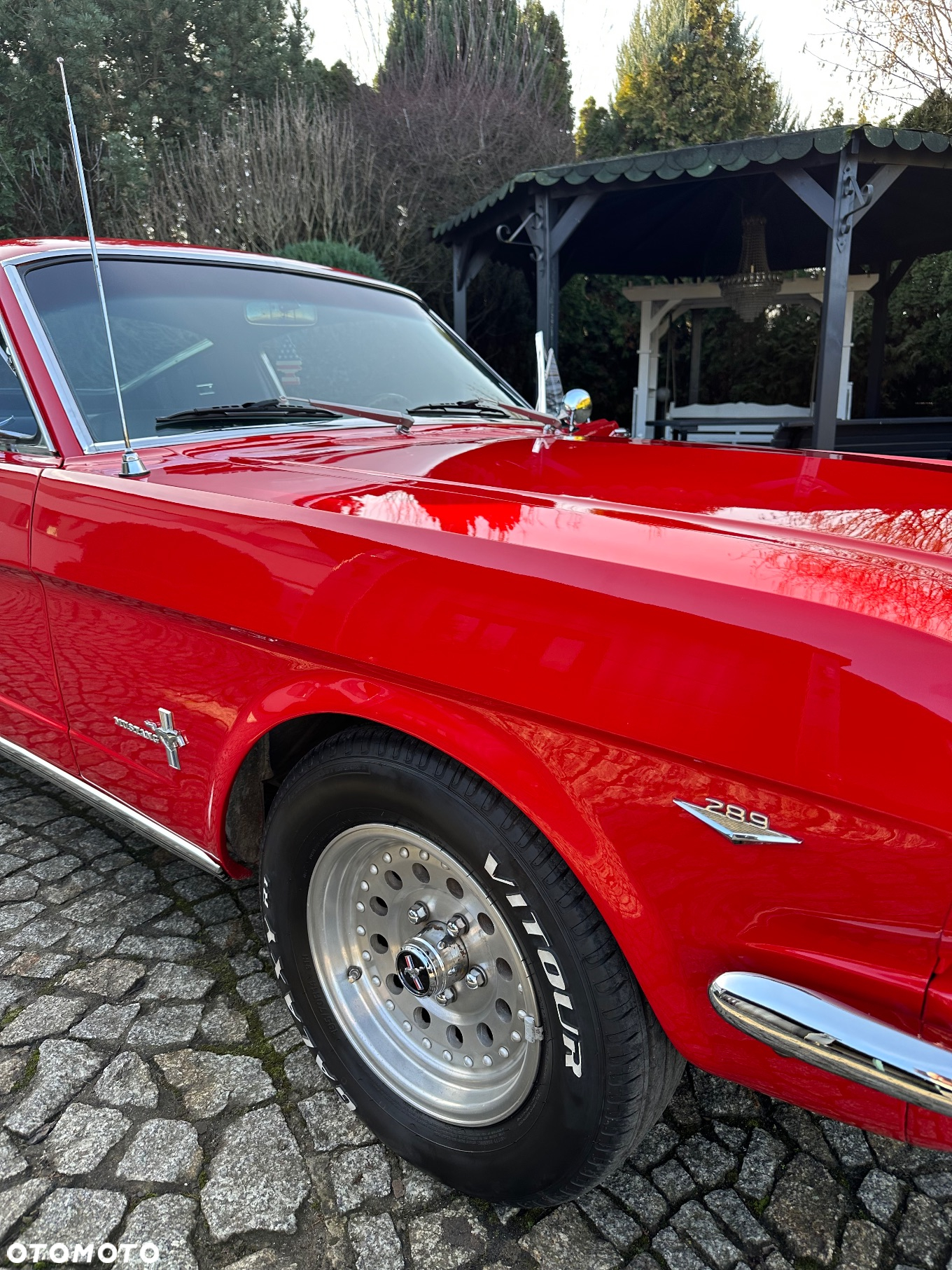 Ford Mustang - 20
