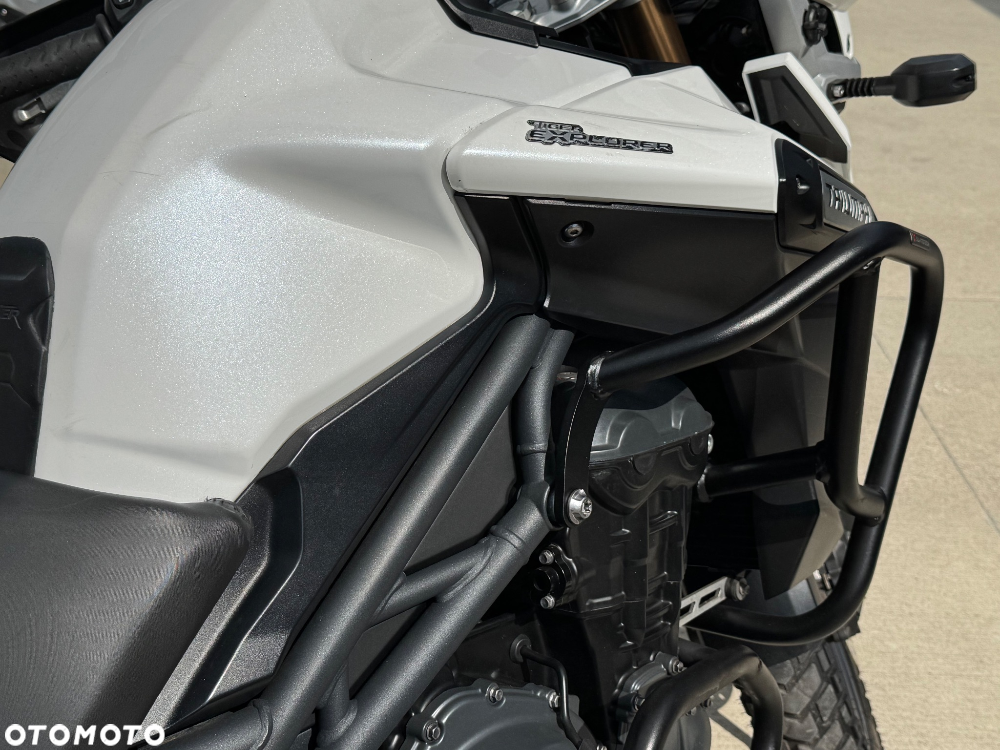 Triumph Tiger - 36