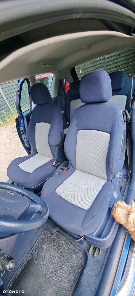 Peugeot 1007 - 10