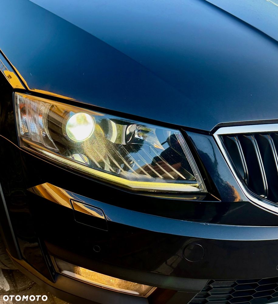 Skoda Octavia Combi 2.0 TDI (Green tec) 4x4 DSG Scout - 10