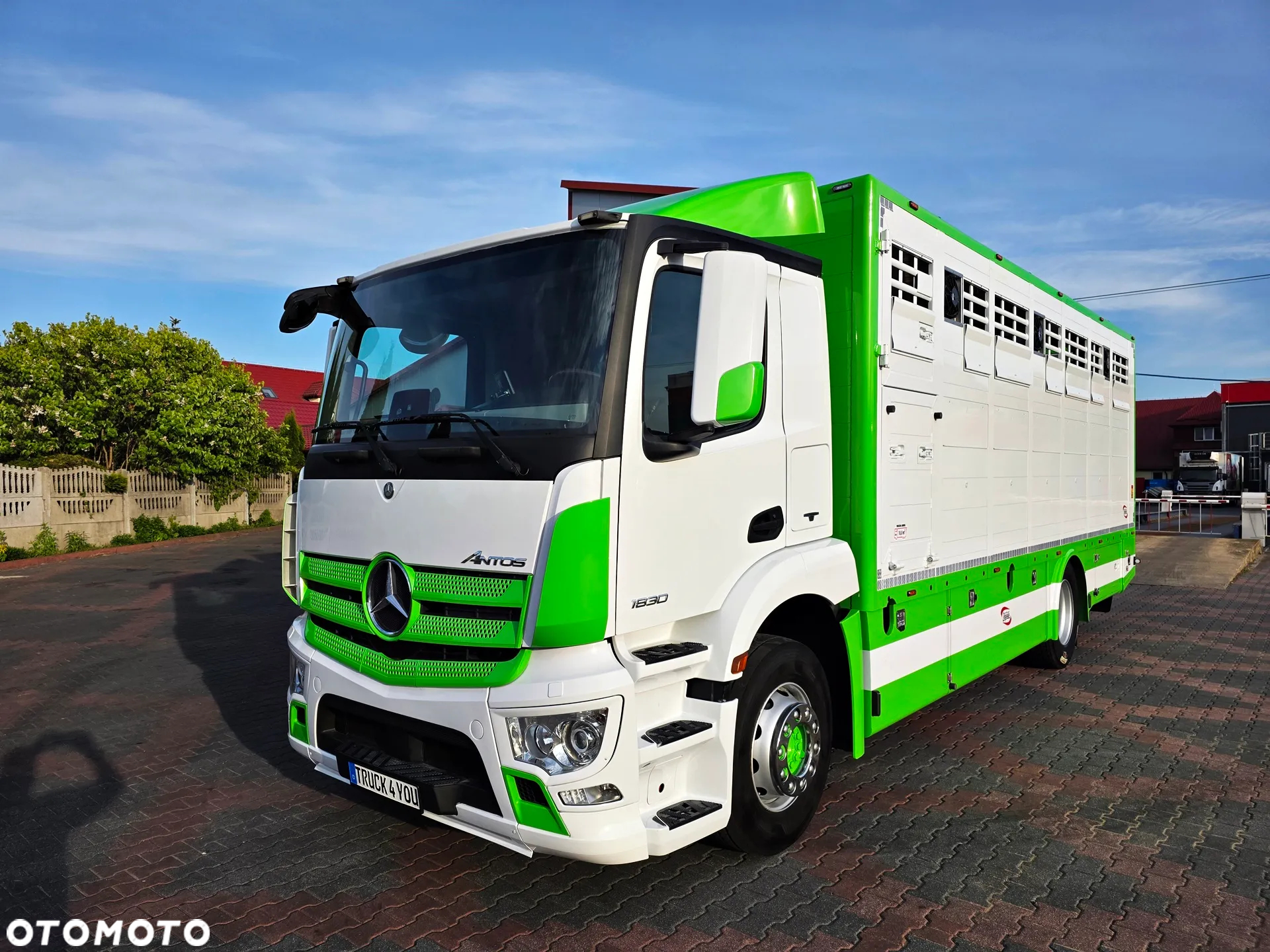 Mercedes-Benz Antos 1830 / Nowa zabudowa z wagą / do żywca / zwierząt / bydła / DMC 18T - 2