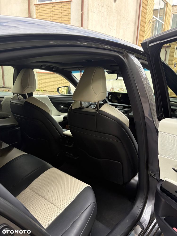 Lexus ES 300h F Sport Edition - 10