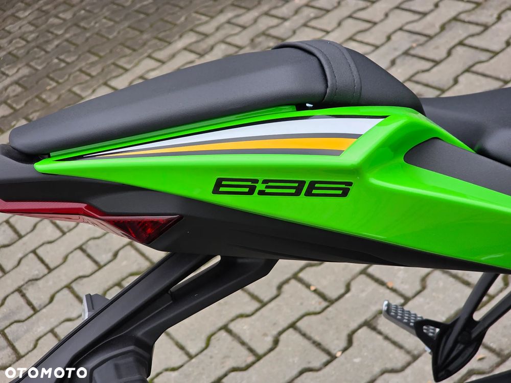 Kawasaki Ninja - 13