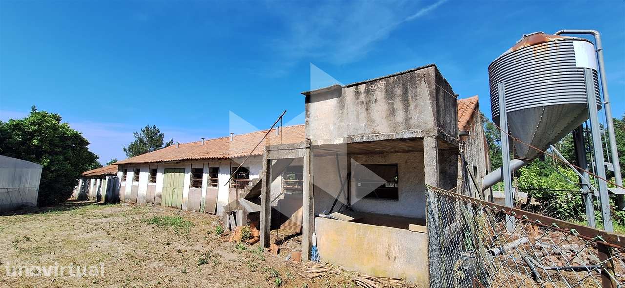 Quintinha  Venda em Lobão da Beira,Tondela - Grande imagem: 3/17