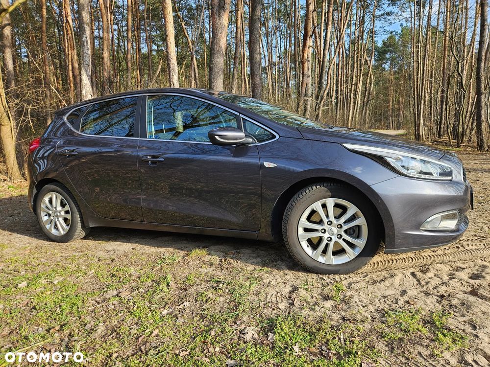 Kia Ceed 1.4 CVVT Fifa World Cup Edition - 14