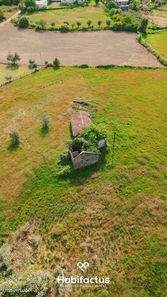 Quinta  para venda com 16.500 m² no centro de Mangualde – Oportunidade - Grande imagem: 3/14