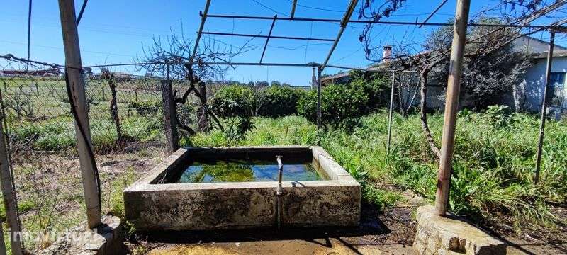 Terreno Ourique água e luz - Grande imagem: 2/6
