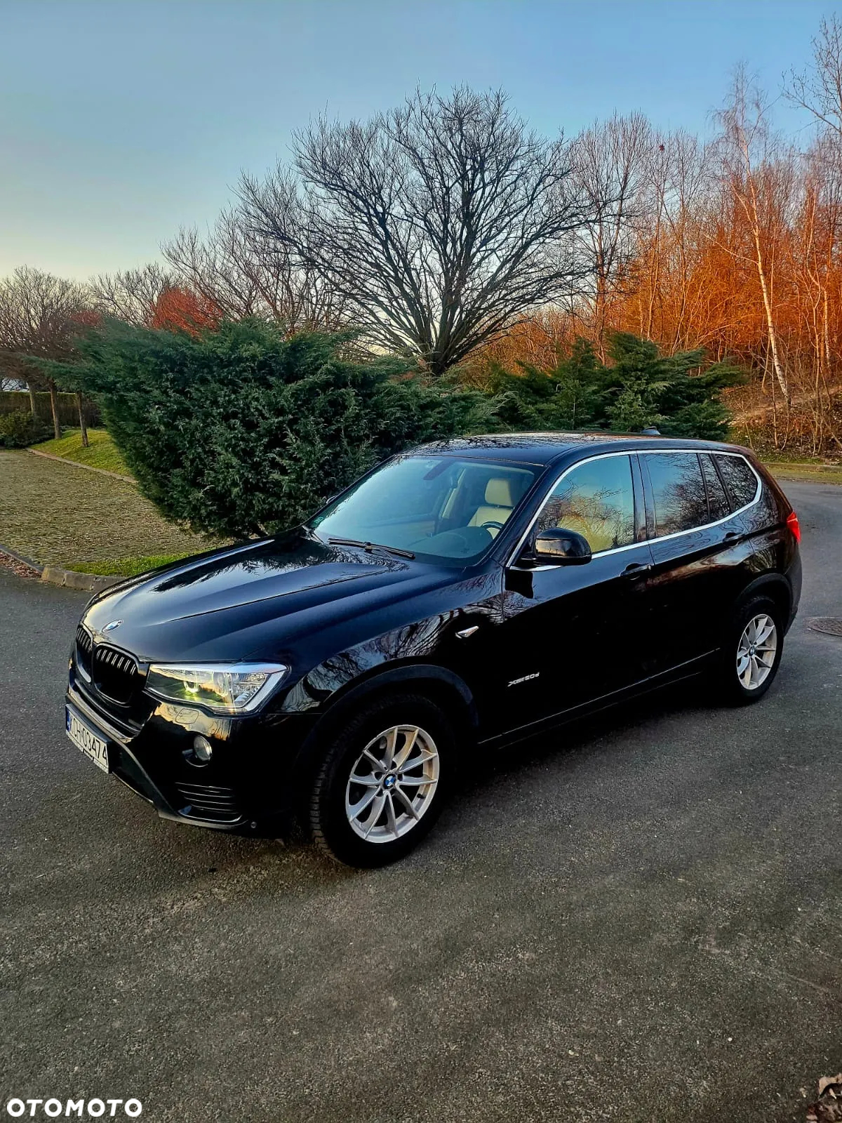 BMW X3 xDrive20d - 4