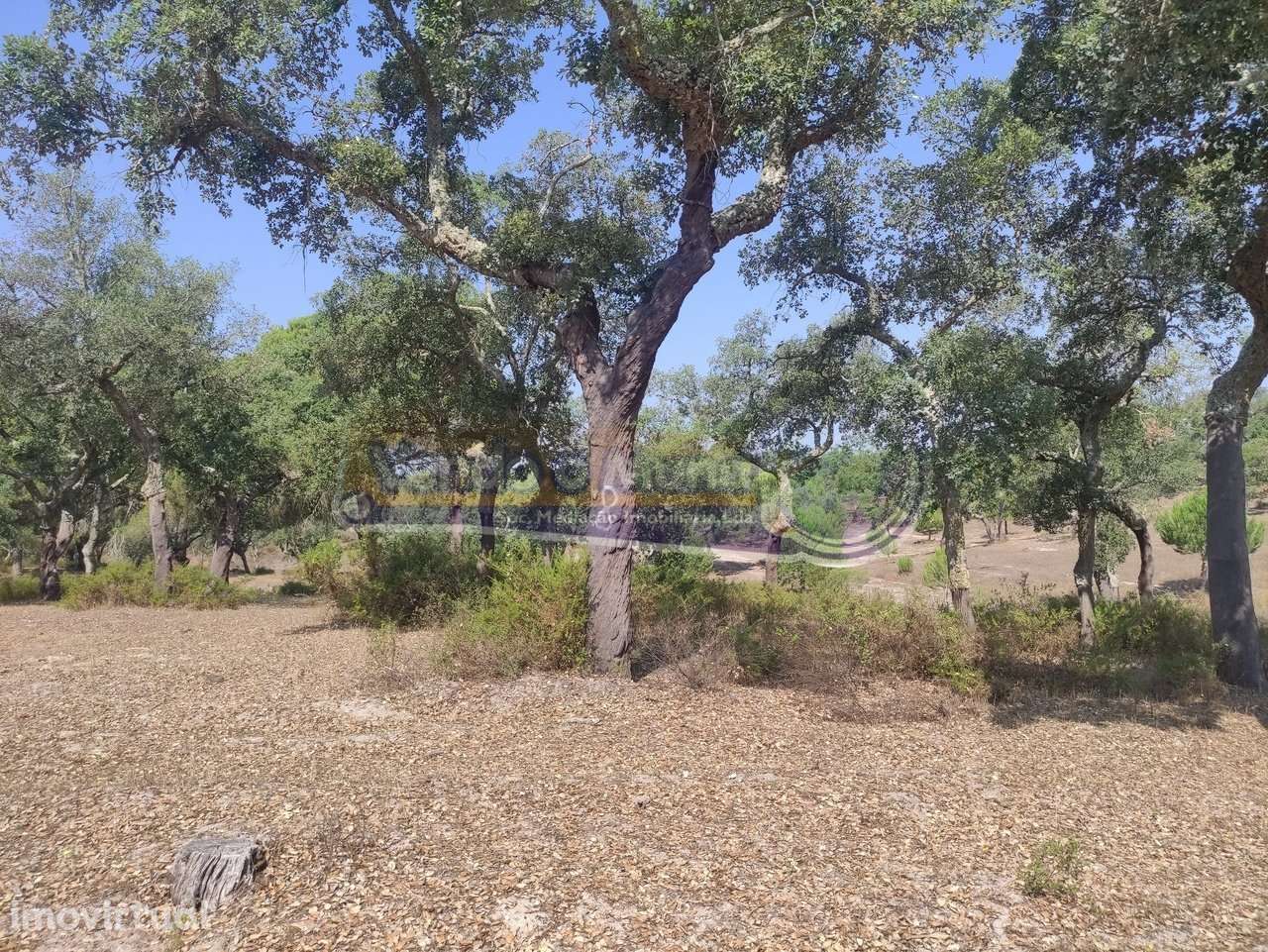 Monte Alentejano em Mora (MOR037) - Grande imagem: 5/32