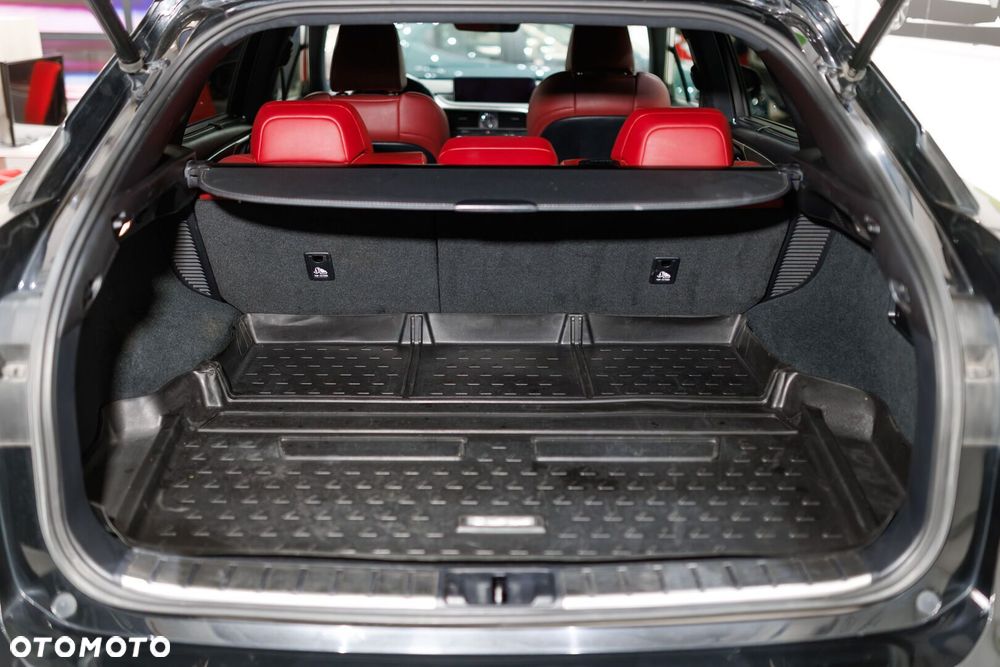 Lexus RX 450h F Sport Edition - 22