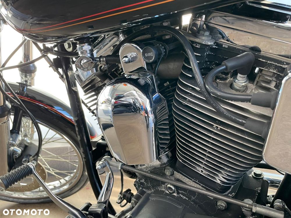 Harley-Davidson Softail - 14