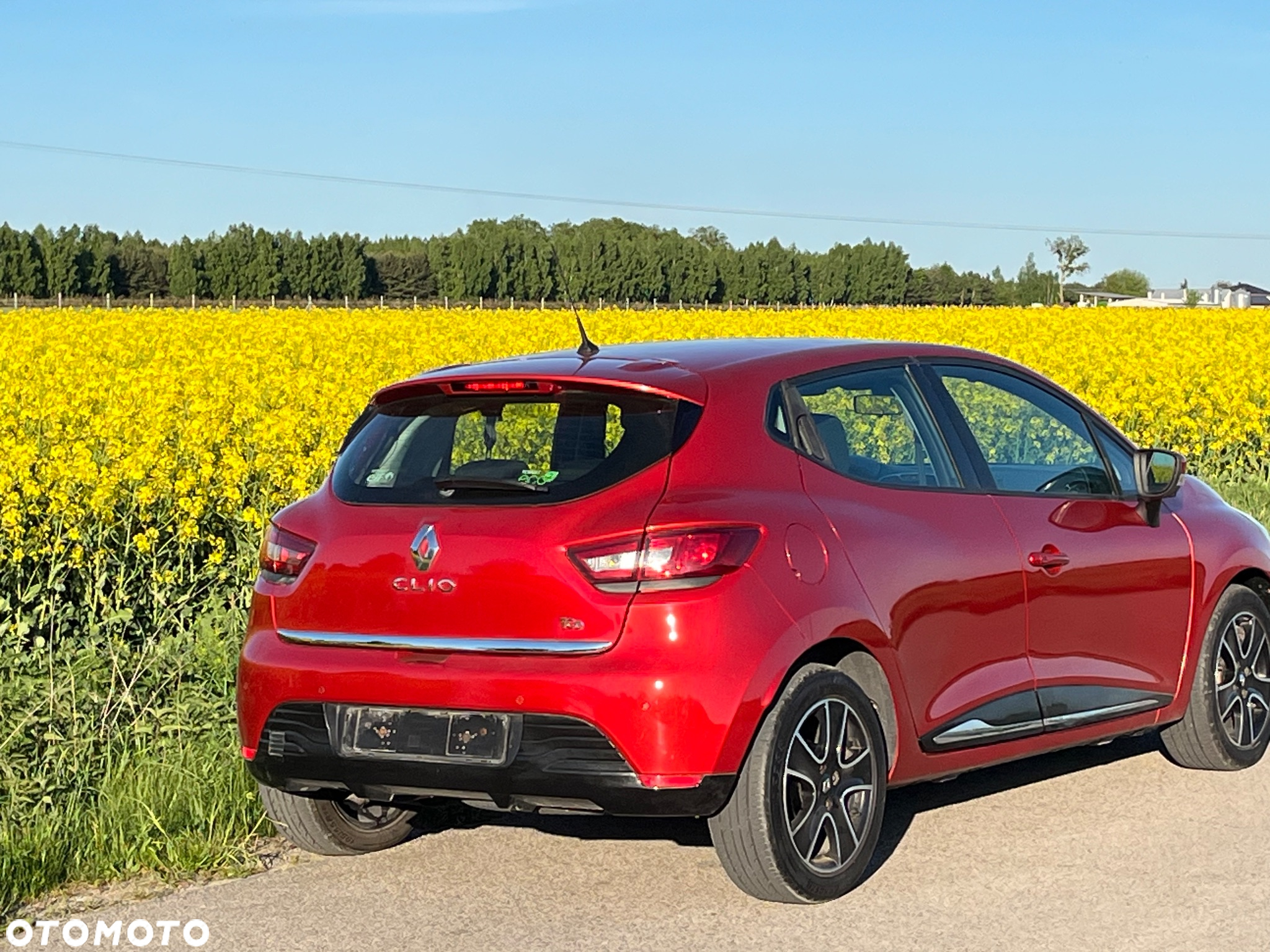 Renault Clio (Energy) TCe 75 Start & Stop LIFE - 5
