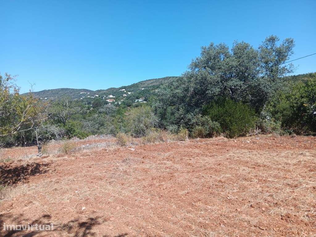 Terreno com ruína, vista mar, Santa Bárbara de Nexe, Faro, Algarve - Grande imagem: 3/29