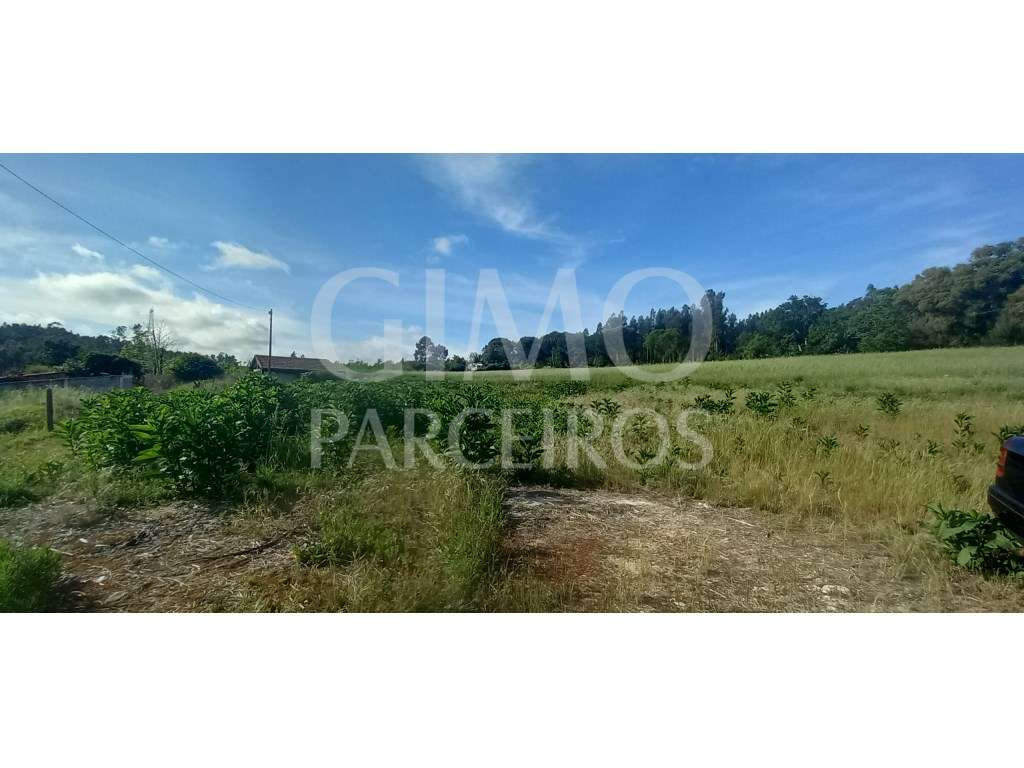 Terrenos para venda perto de Aveiro - Grande imagem: 2/8