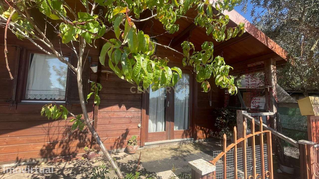 Terreno com casa de madeira proximo do Sátão - Grande imagem: 4/12