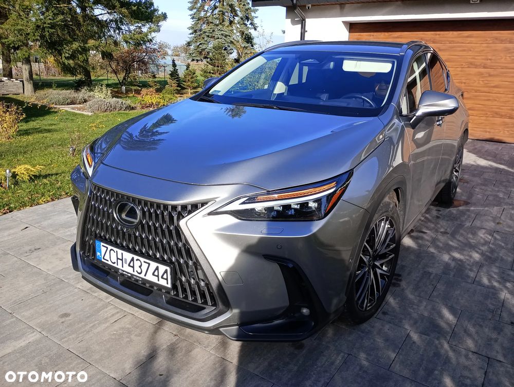 Lexus NX - 1
