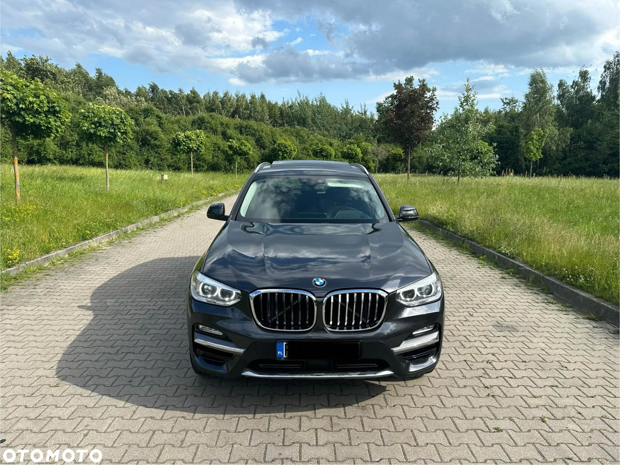 BMW X3 xDrive30d xLine - 3