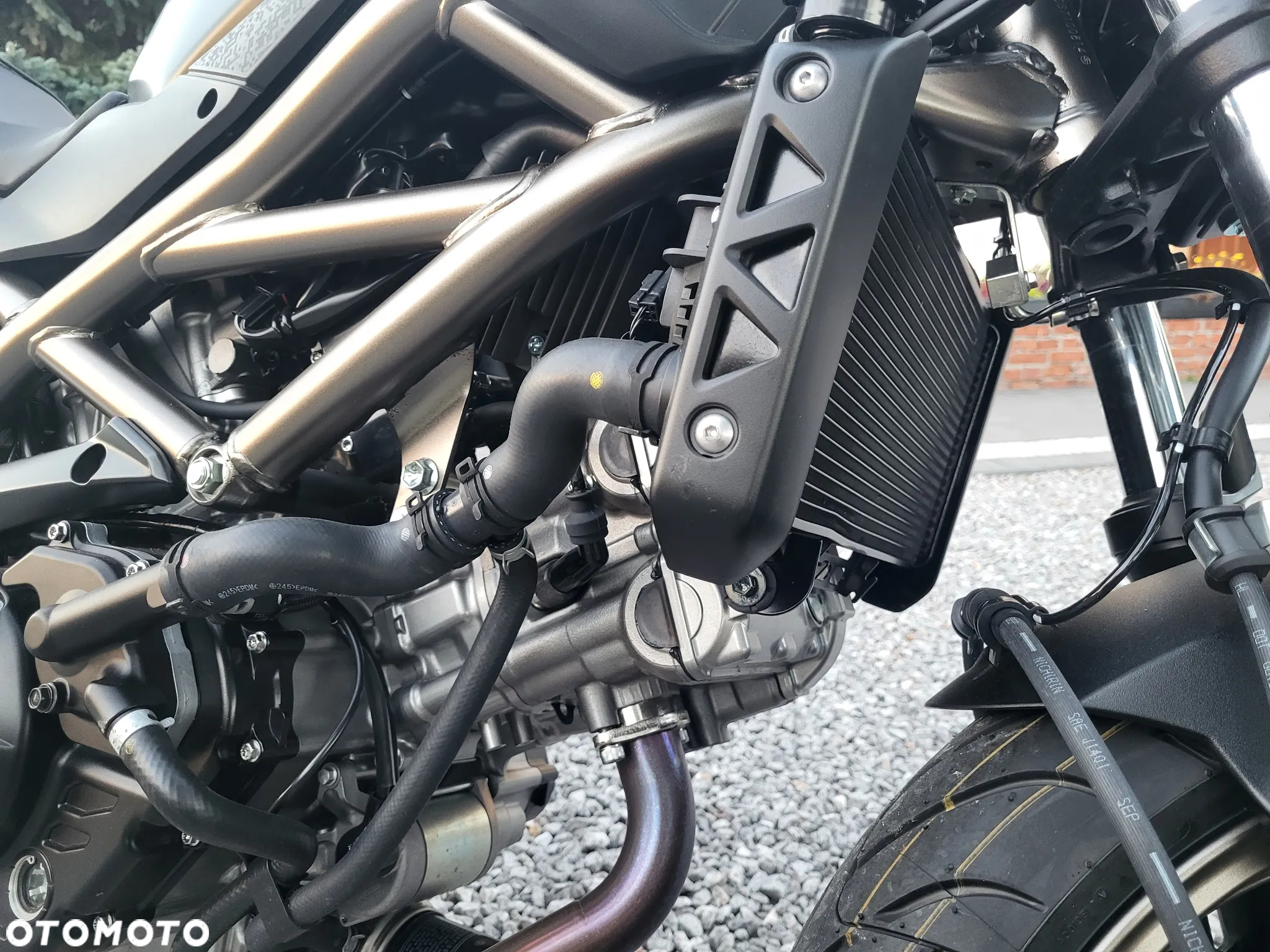 Suzuki SV - 8