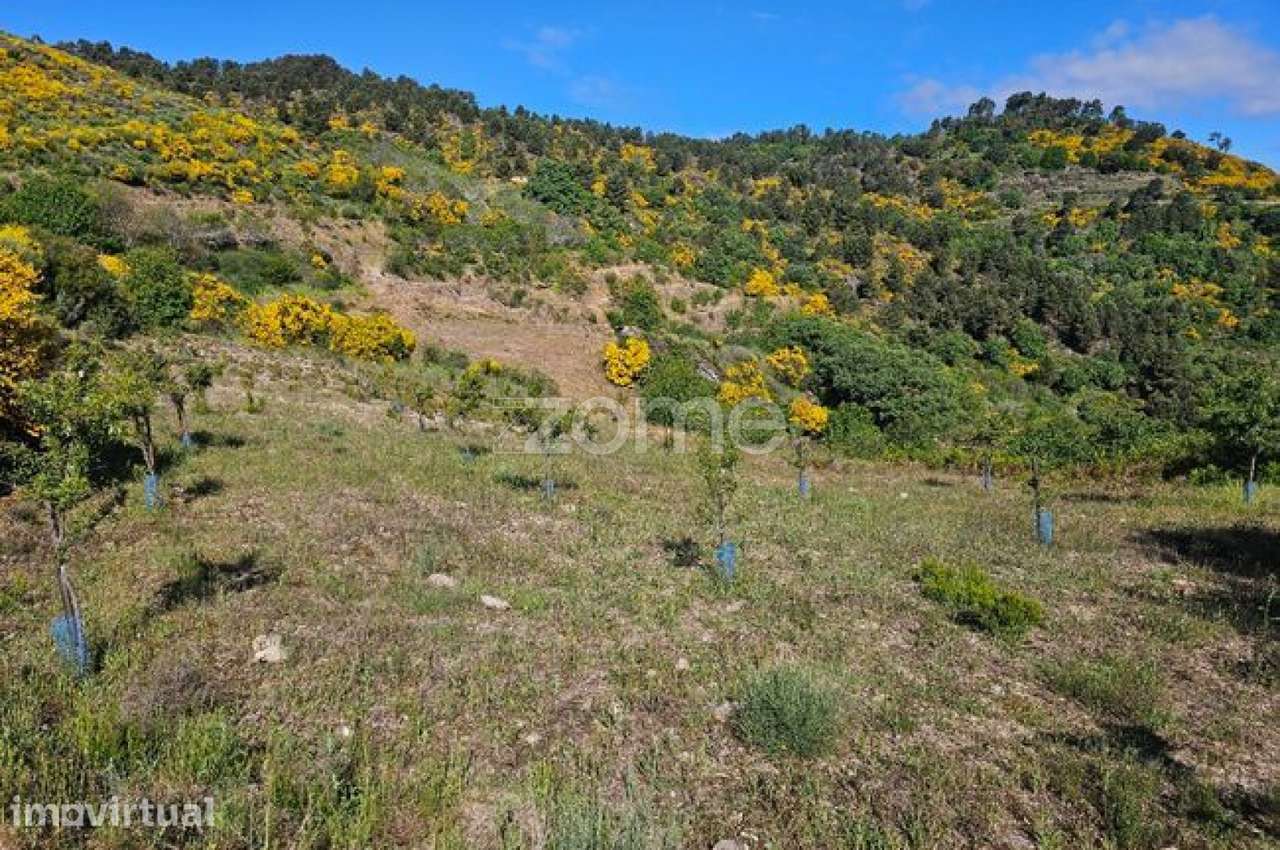 Terreno com 6 hectares - Grande imagem: 5/22