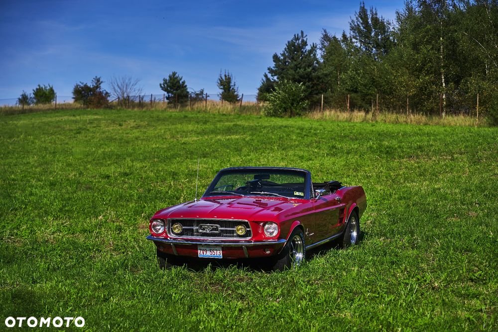 Ford Mustang - 5
