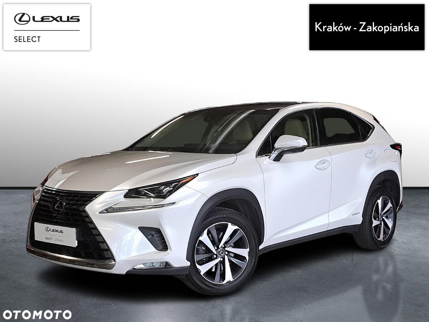 Lexus NX 300h Omotenashi AWD - 1