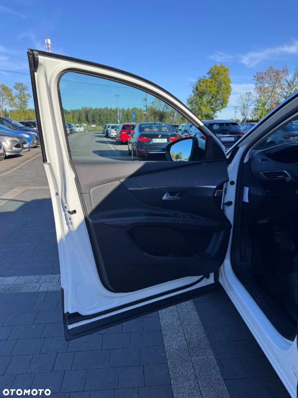 Peugeot 3008 - 18