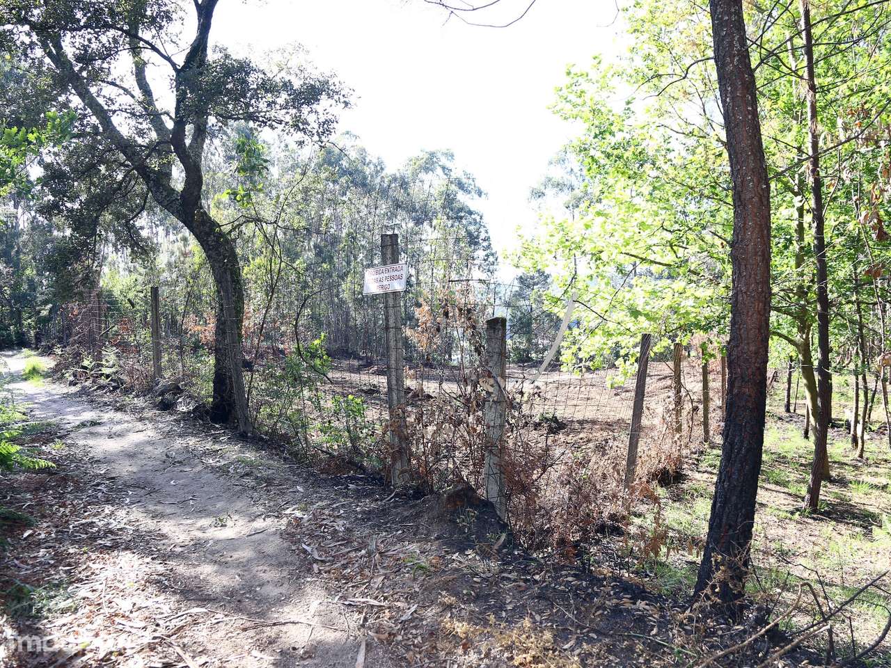 Terreno Para Construção  Venda em Lustosa e Barrosas (Santo Estêvão),L - Grande imagem: 2/5
