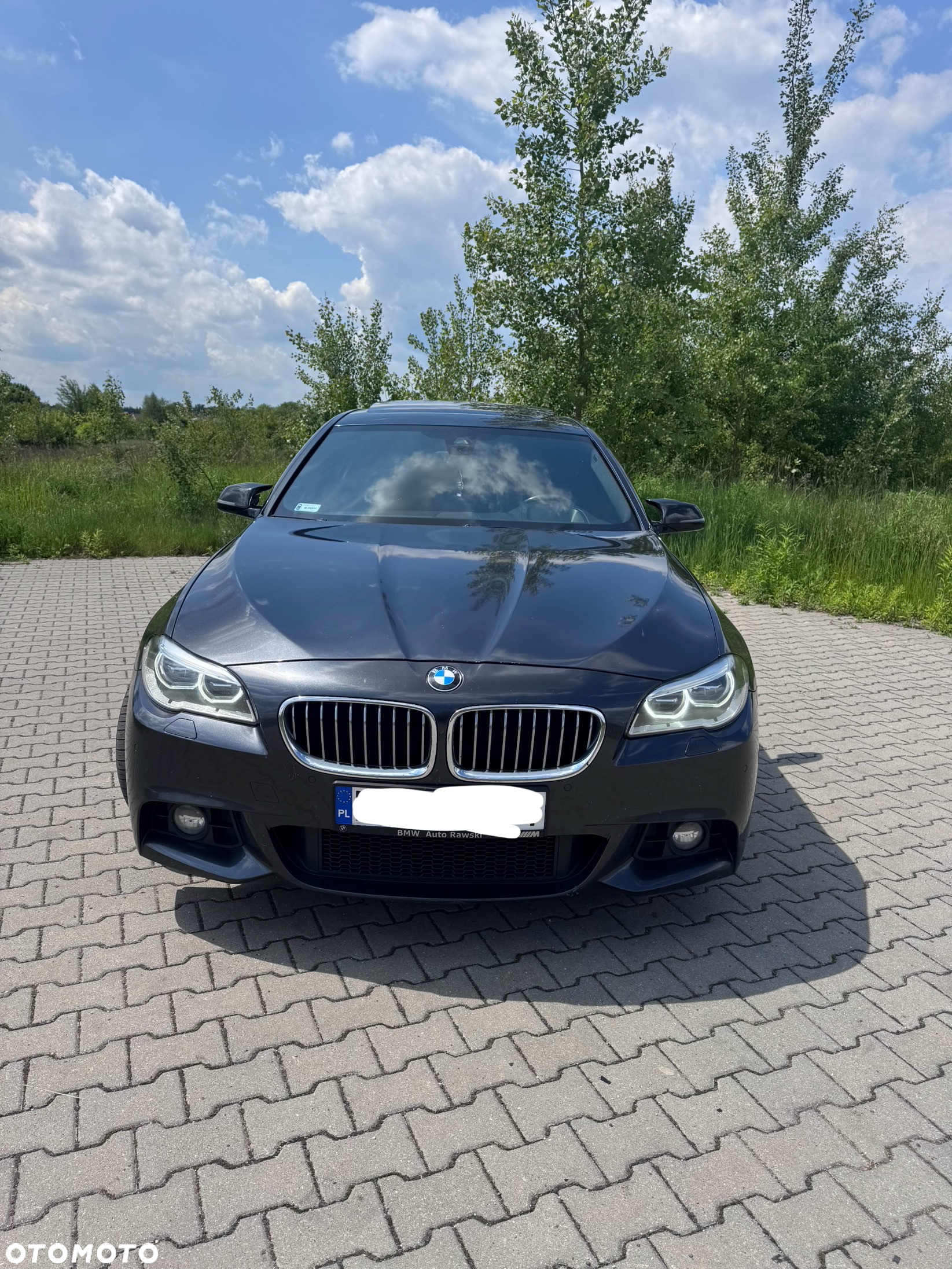 BMW Seria 5 520d xDrive - 8