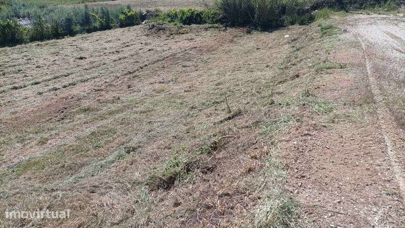 Terreno com possibilidade de construção - Grande imagem: 3/3