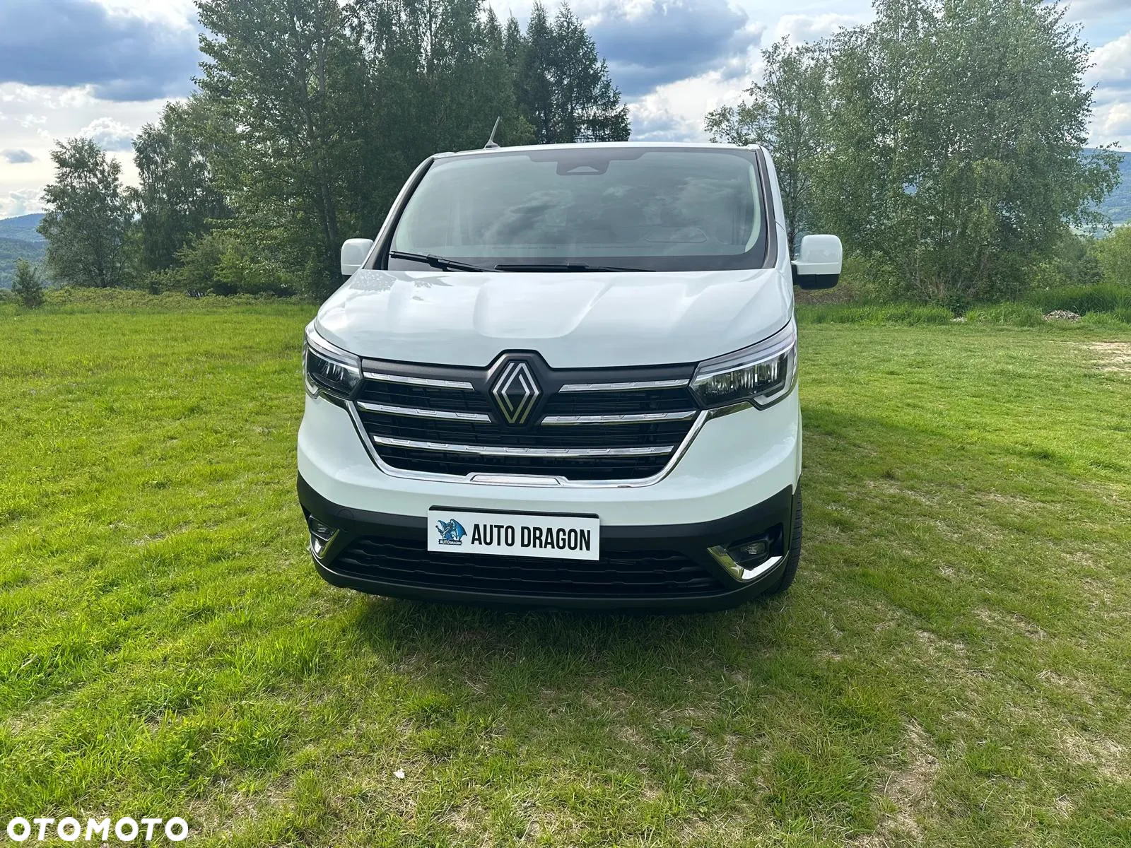 Renault Master 2490 kg DMC - 2