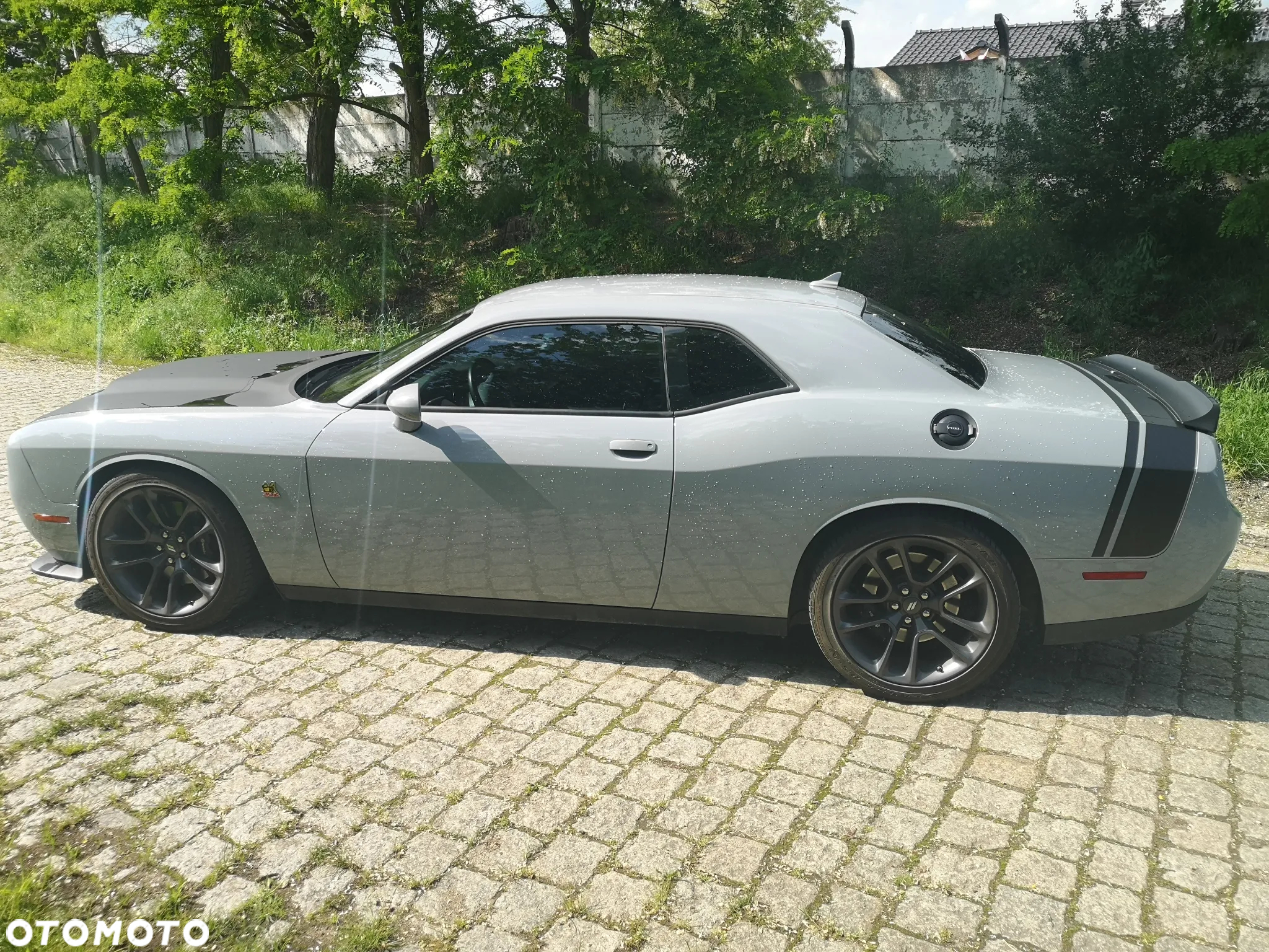 Dodge Challenger - 19