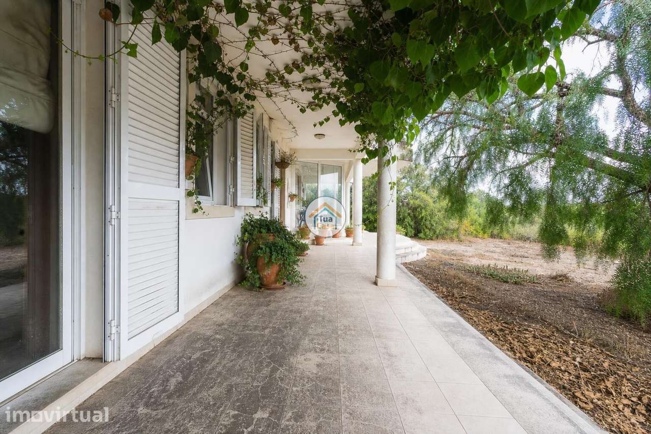 Quinta do Vale Tesoureiro — propriedade com 12.576 m2 em Igreja Nova, - Grande imagem: 4/44