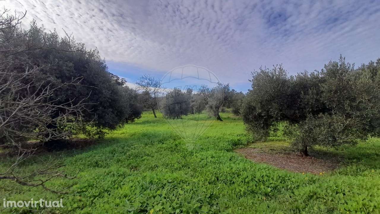 Terreno  para venda - Grande imagem: 3/35