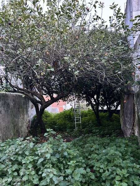 2 apartamentos no centro historico de Estremoz - Grande imagem: 4/8