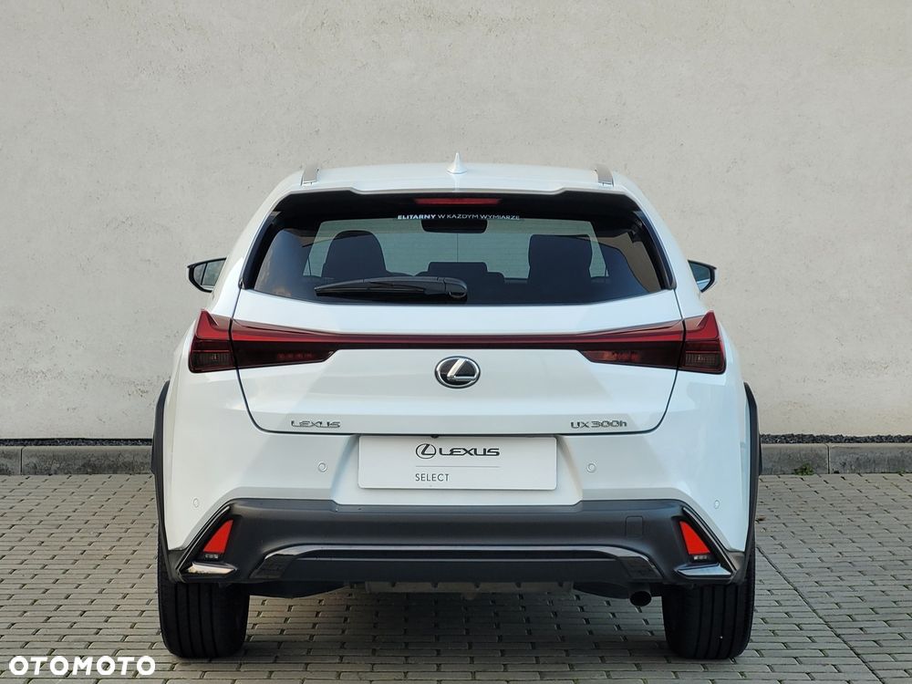 Lexus UX 300h F Sport Design - 9