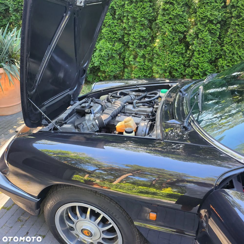 Alfa Romeo Spider - 21