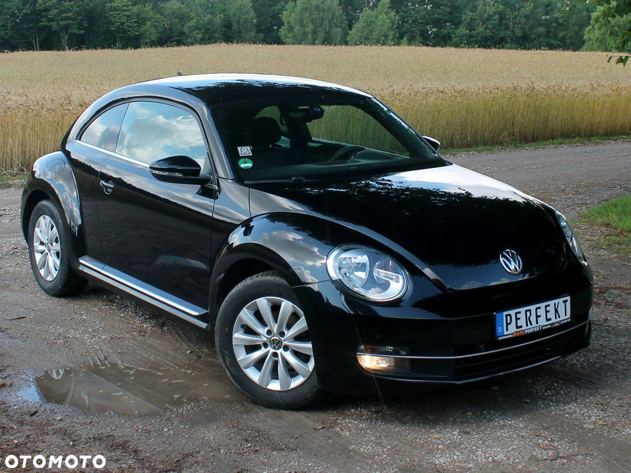 Volkswagen Beetle - 1