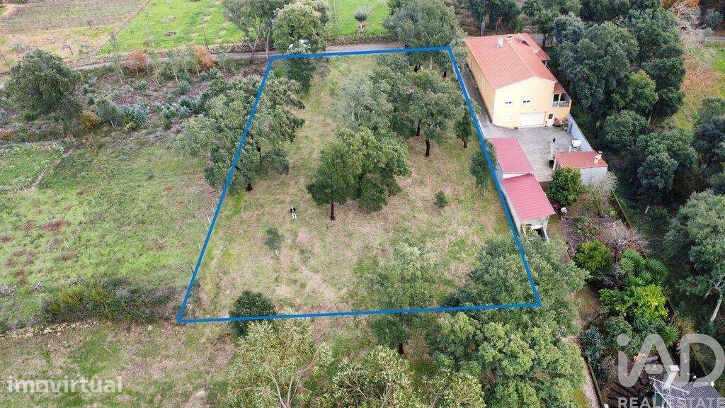 Terreno Agrícola em Figueiró dos Vinhos e Bairradas - Grande imagem: 4/18